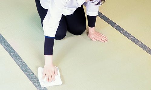 How to clean Tatami - Tatamidia